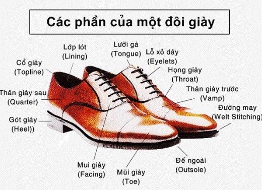 Thiết kế cơ bản của một đôi giày tây nam