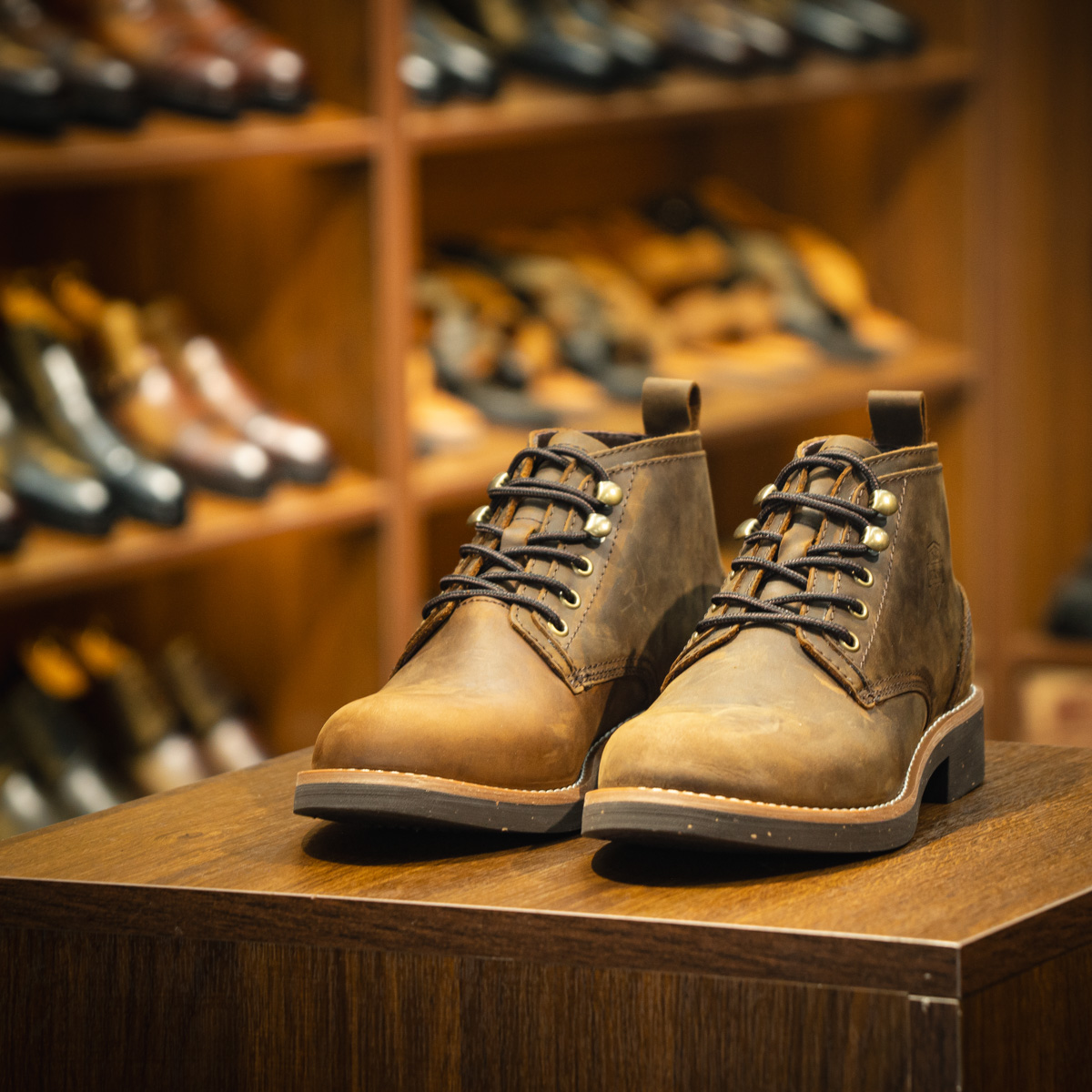 Giày Beckman Chukka Double Wings 4