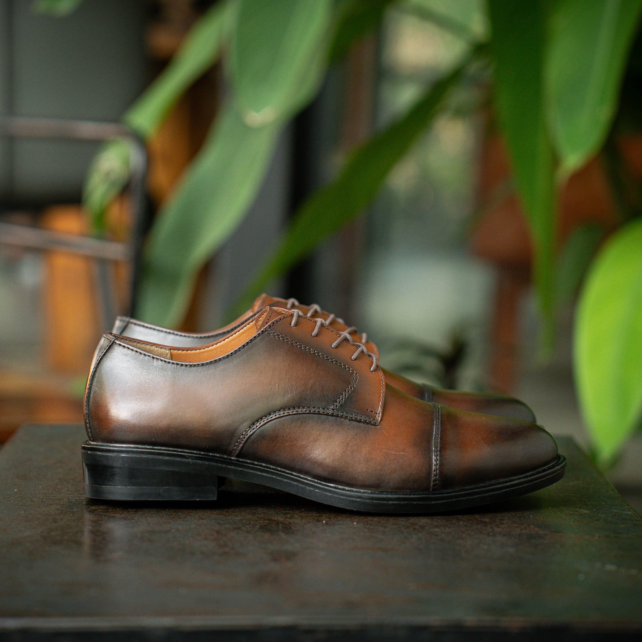 Giày Derby Captoe Classic Parisian - Nâu Patina 4