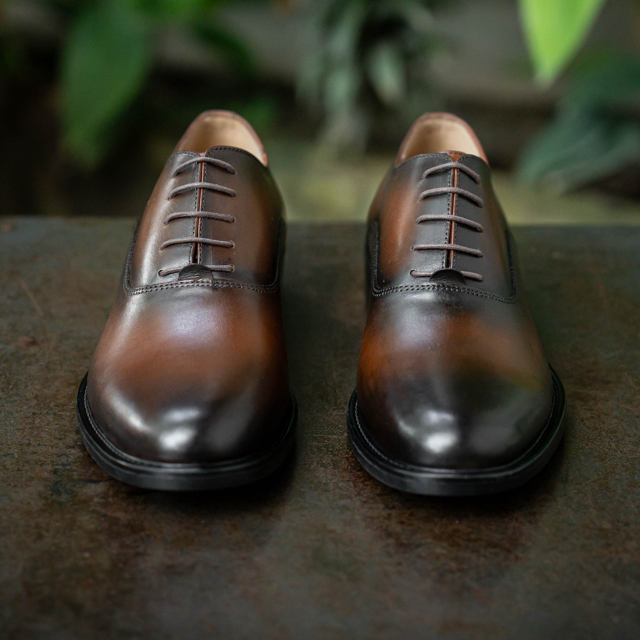 Giày Oxford Classic Romanista - Nâu Patina 12